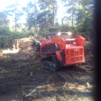 Land Clearing